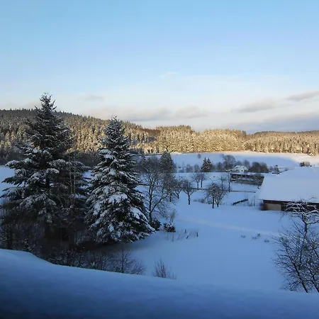 فندق Bartlehof 3*