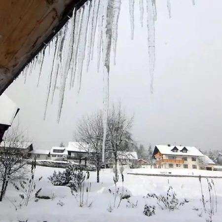 מלון Bartlehof 3*