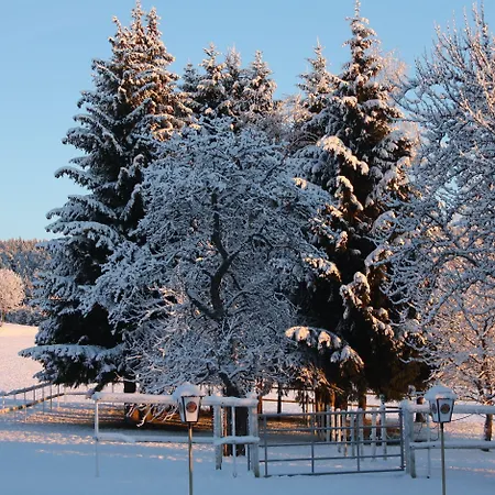 Bartlehof 3* سشلوشسي