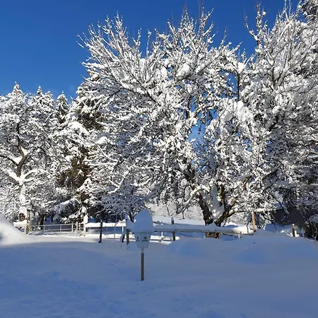 Bartlehof 3* Schluchsee