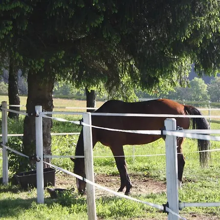 فندق Bartlehof 3*