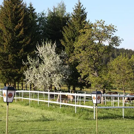 Bartlehof 3* Schluchsee