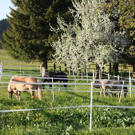 Bartlehof سشلوشسي