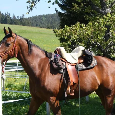 Bartlehof 3* سشلوشسي