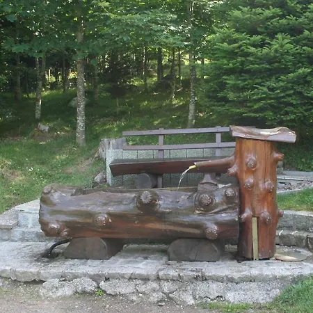 Bartlehof Hotel Schluchsee