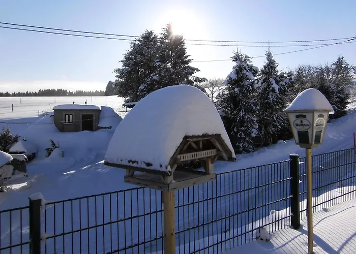 Hotel Bartlehof Schluchsee