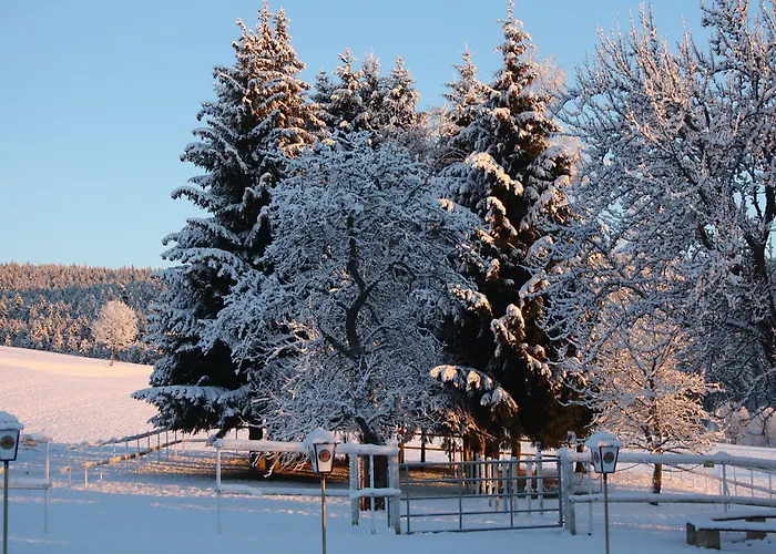 Bartlehof 3* Schluchsee