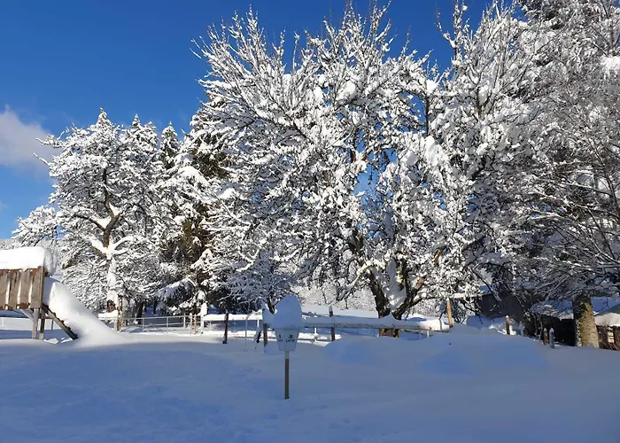Bartlehof 3* Schluchsee