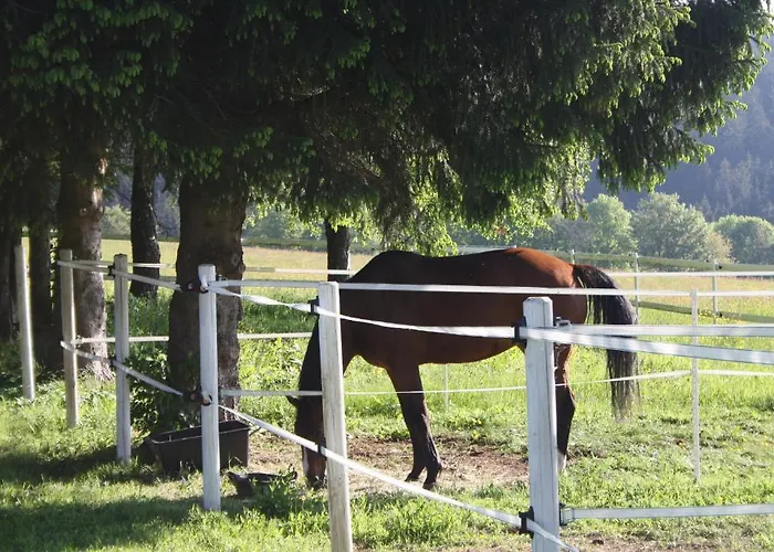 فندق Bartlehof 3*