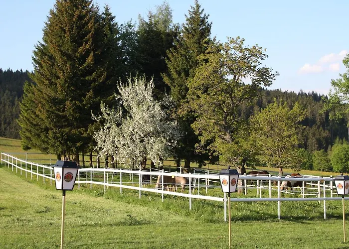 Bartlehof 3* Schluchsee