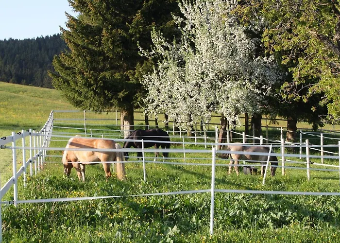 Bartlehof Schluchsee