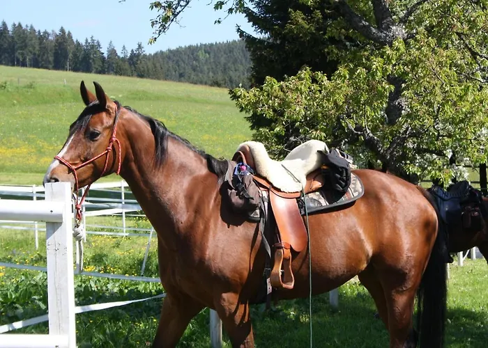 Bartlehof 3* سشلوشسي