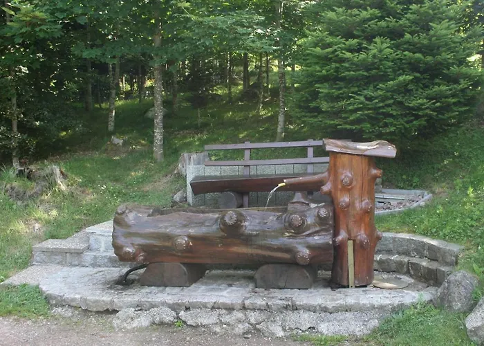 Bartlehof فندق سشلوشسي